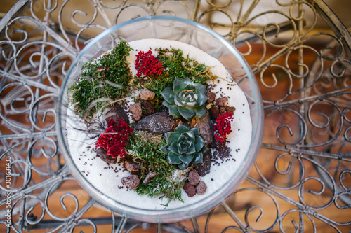 Terrarium Miniature Botanical Horticulture Grow. Terrarium  workshop.. Making Terrarium workshop