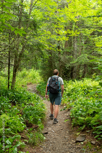 Man Hikes Through Forest in Smokies