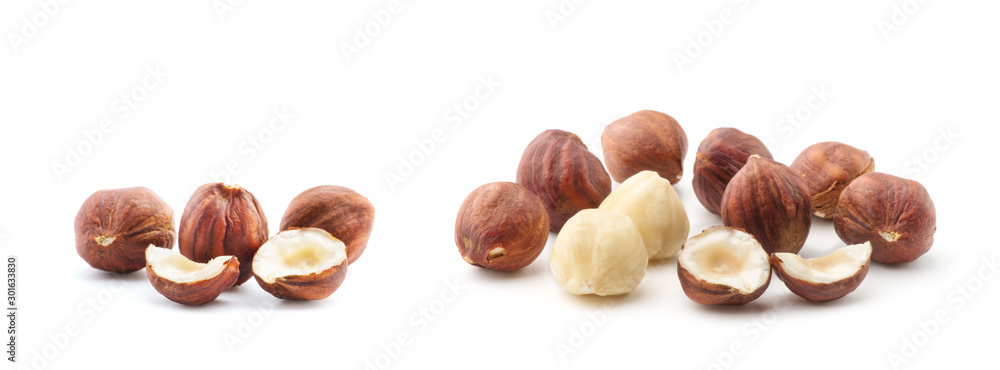 Hazelnuts isolated on the white background Hazelnuts isolated on the white background