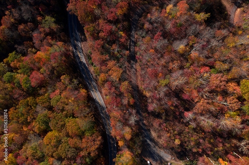 fall colors drone 