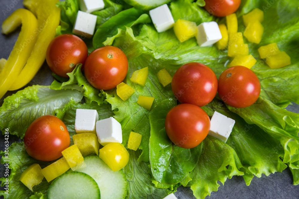 Healthy vegetable salad ingredients layout Healthy vegetable salad ingredients layout