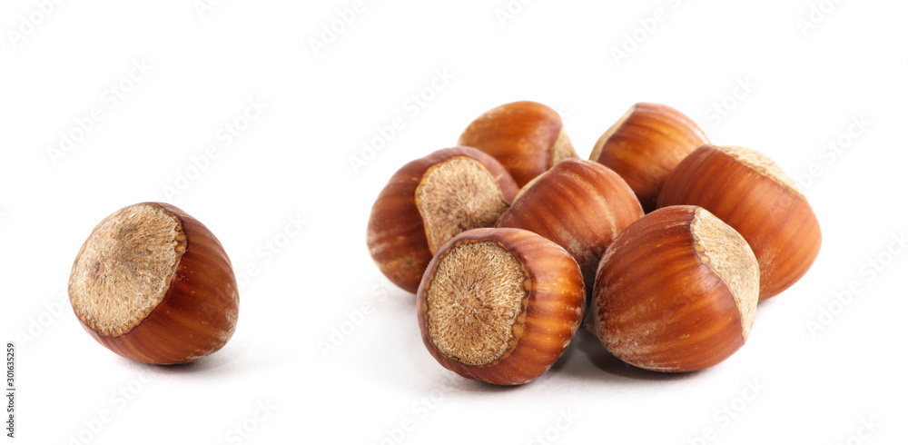 Hazelnuts on white background