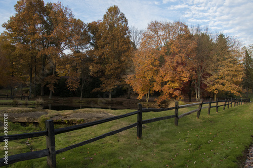 pond in autumn