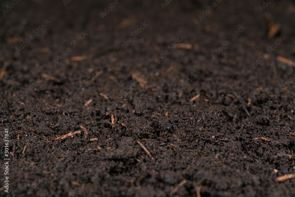 moist soil with shallow depth of field moist soil with shallow depth of field