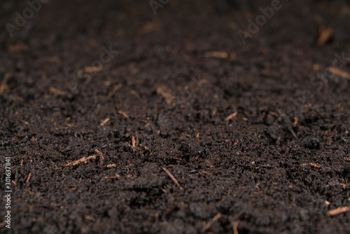 moist soil with shallow depth of field