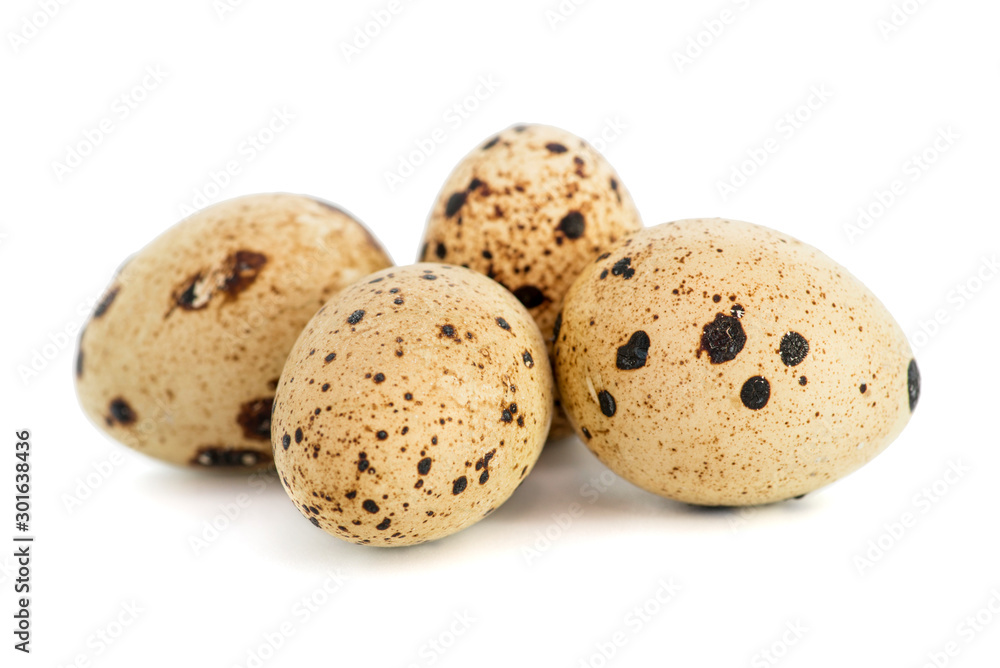Quail eggs isolated on white background. Eggs quail spotted small on white background Quail eggs isolated on white background. Eggs quail spotted small on white background
