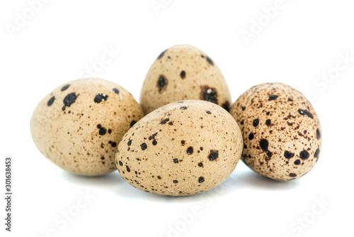 Quail eggs isolated on white background. Eggs quail spotted small on white background