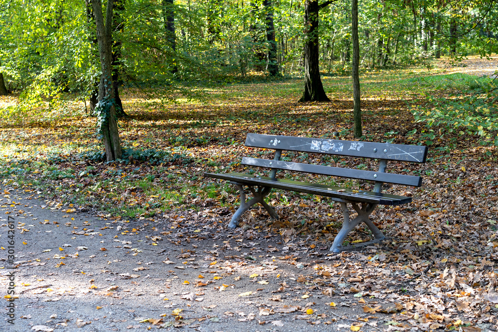 A bench on a sunny autumnal day. The wooden bench is a bit vandalized. A bench on a sunny autumnal day. The wooden bench is a bit vandalized.