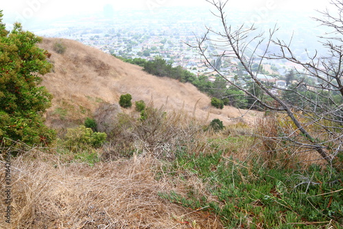 Los Angeles, detail view of Kenneth Hahn State Recreation Area. Is a State Park unit of California in the Baldwin Hills Mountains of Los Angeles photo