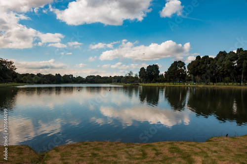 Bogotá, Cundinamarca, Colombia. 8 de noviembre de 2019. Parque Metropolitano Simón Bolívar, Teusaquillo