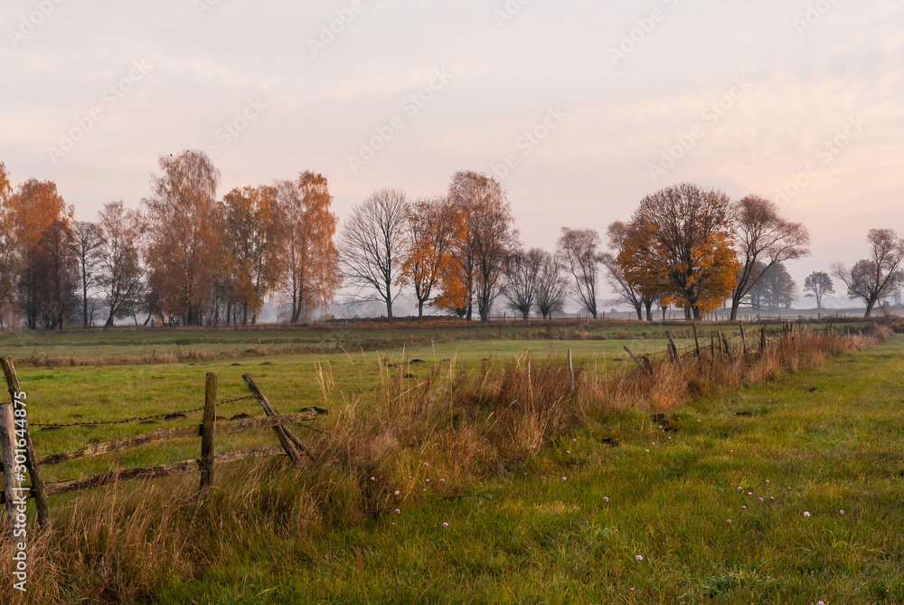 Złota polska jesień na Podlasiu, Dolina Narwi, Podlasie, Polska