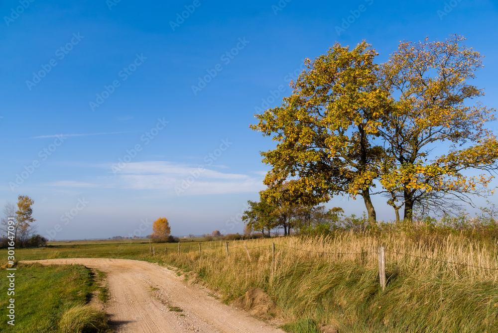 Złota polska jesień na Podlasiu, Dolina Narwi, Podlasie, Polska Złota polska jesień na Podlasiu, Dolina Narwi, Podlasie, Polska