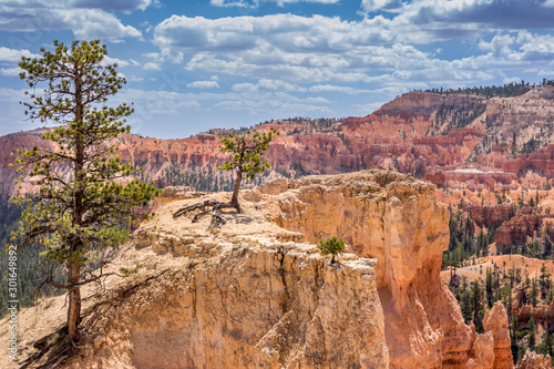Scenice view with trees, Bryce Canyon Utah USA