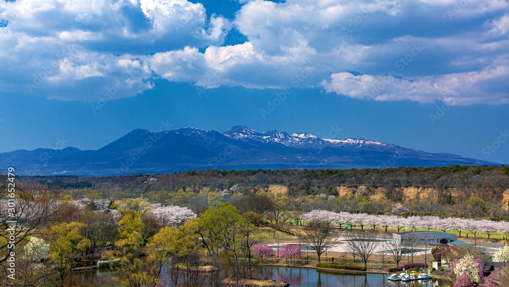 栃木県・那須町 桜咲く春の那須高原の風景