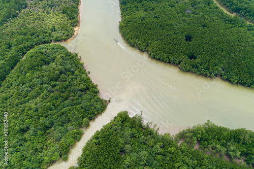 Beautiful natural scenery of landscape view in Asia tropical mangrove forest aerial view drone shot High angle view