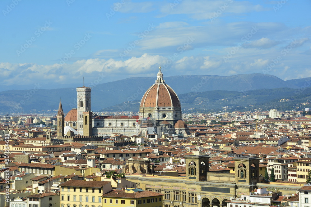 The Duomo in the Florentine skyline 