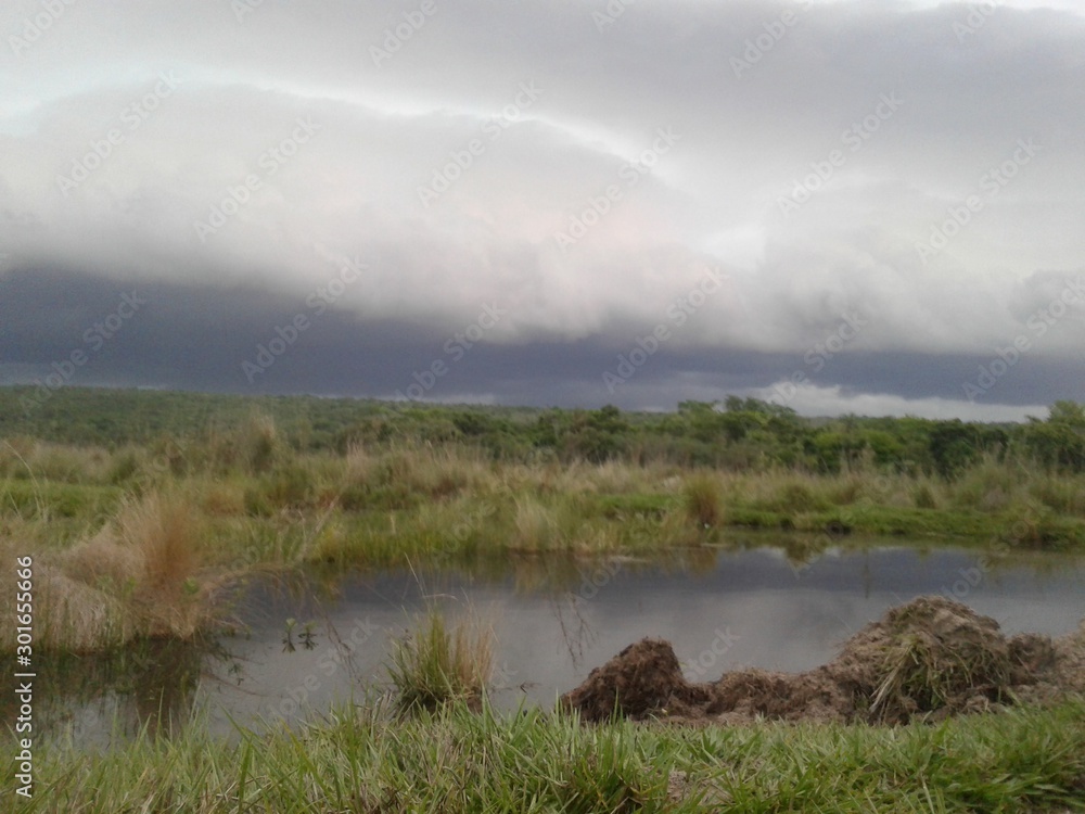 Swamp Paraguay Swamp Paraguay
