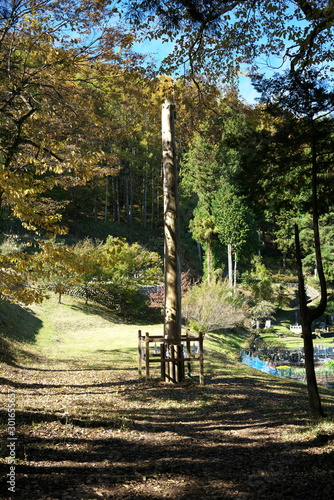 Tokyo,Japan-November 9, 2019: A fir pillar or Onbashira at Mae-Miya of Suwa Taisha or Suwa shrine in Japan photo