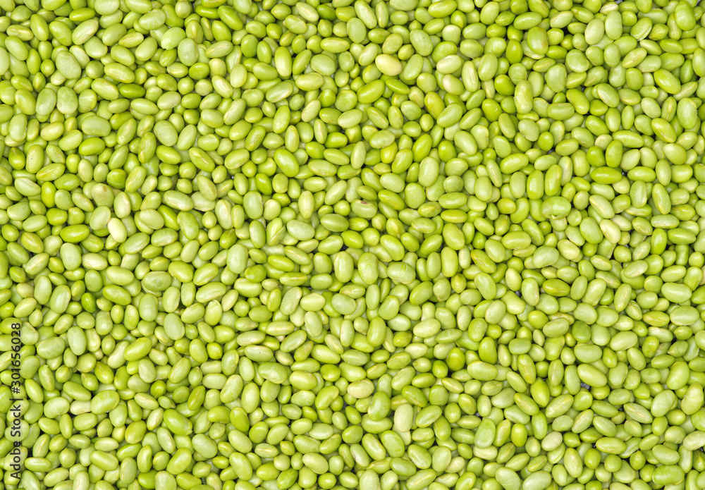 Green soybeans background Green soybeans background