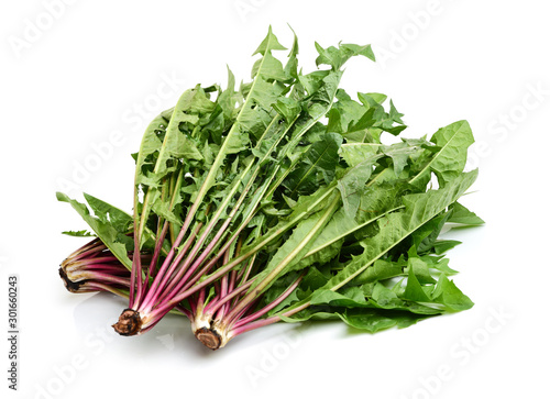 Dandelion, Dandelion Green, Leaf Vegetable on white background photo