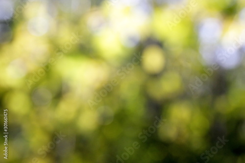 Natural green and blue blured background with bokeh