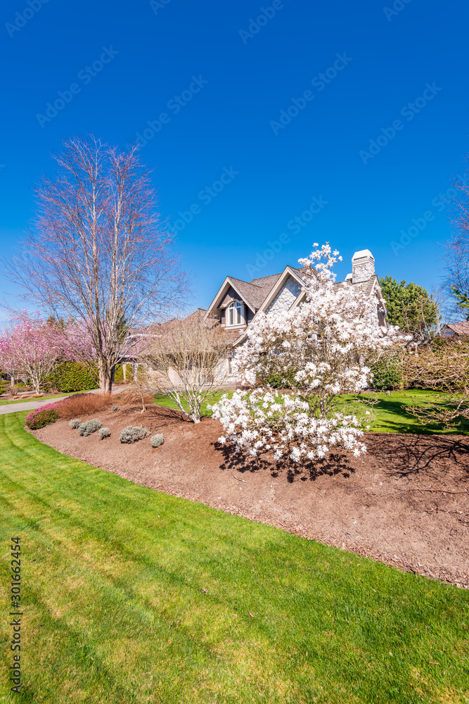 A perfect neighbourhood. Houses in suburb at Summer in the north America. Luxury houses with nice landscape. A perfect neighbourhood. Houses in suburb at Summer in the north America. Luxury houses with nice landscape.