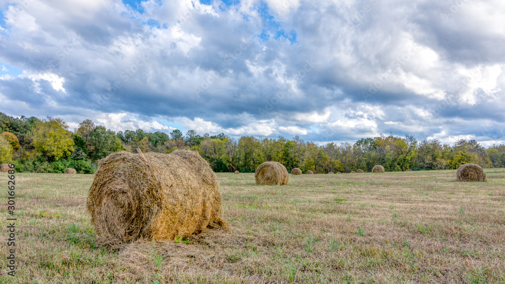 Bale of straw haw in a filed on a stormy day