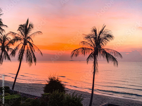 A picturesque tropical crimson red coloured coastal sunrise seascape with palm trees and ocean water reflection. Thailand.