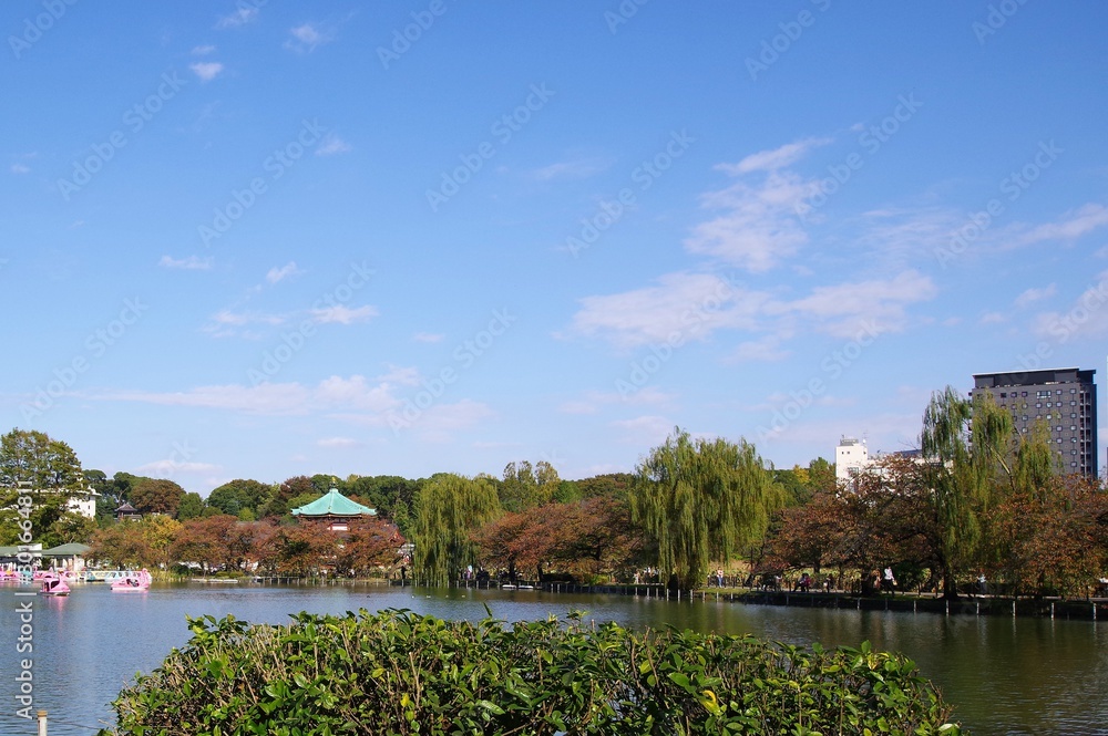 遠方から見た上野東照宮の屋根