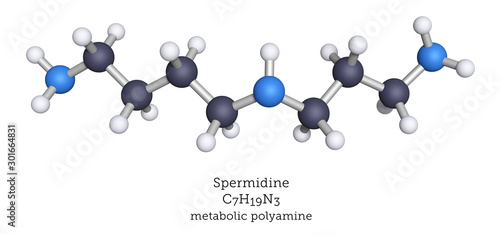 Spermidine is a biochemical polyamine with various metabolic functions.