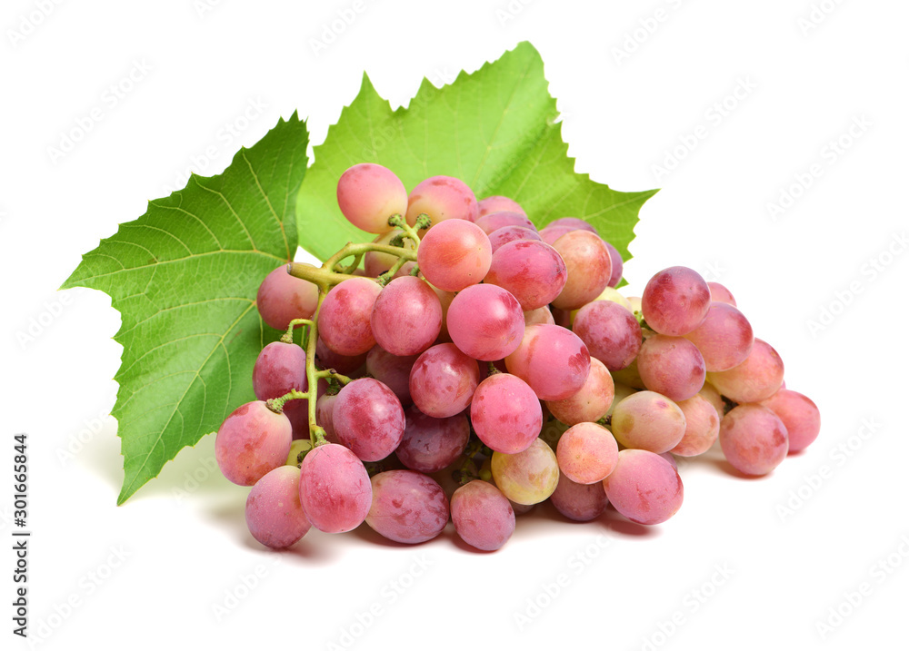 Fototapeta premium Grapes on white background 