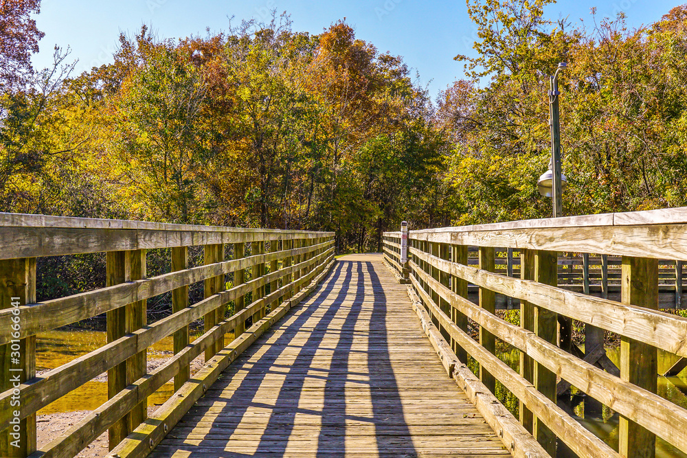 A fishing pier over water in a park on a sunny day. A fishing pier over water in a park on a sunny day.