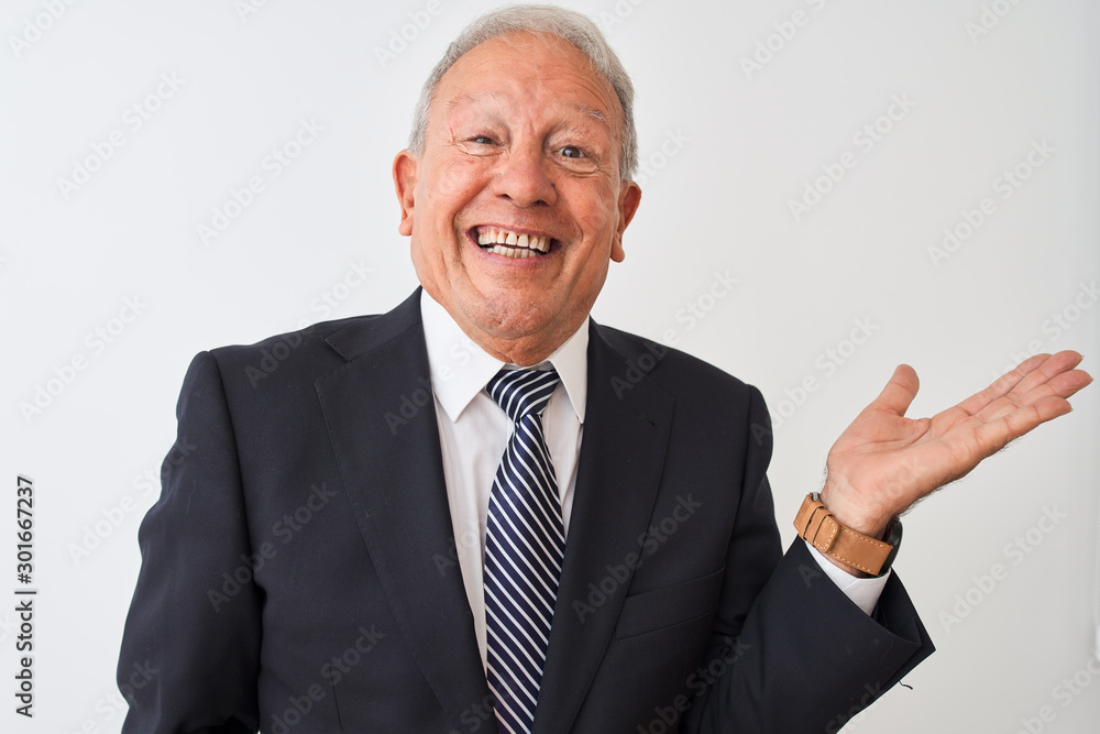 Senior grey-haired businessman wearing suit standing over isolated white background smiling cheerful presenting and pointing with palm of hand looking at the camera. Senior grey-haired businessman wearing suit standing over isolated white background smiling cheerful presenting and pointing with palm of hand looking at the camera.
