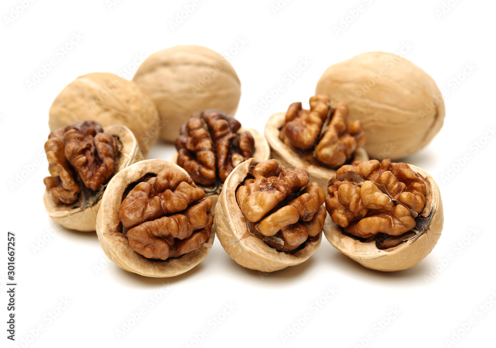 walnuts on a white background walnuts on a white background