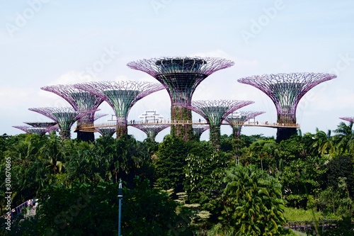 Supertrees in Singapore
