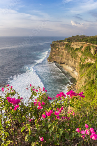 Flowers in front of the cliffs at Ulu Watu, Bali