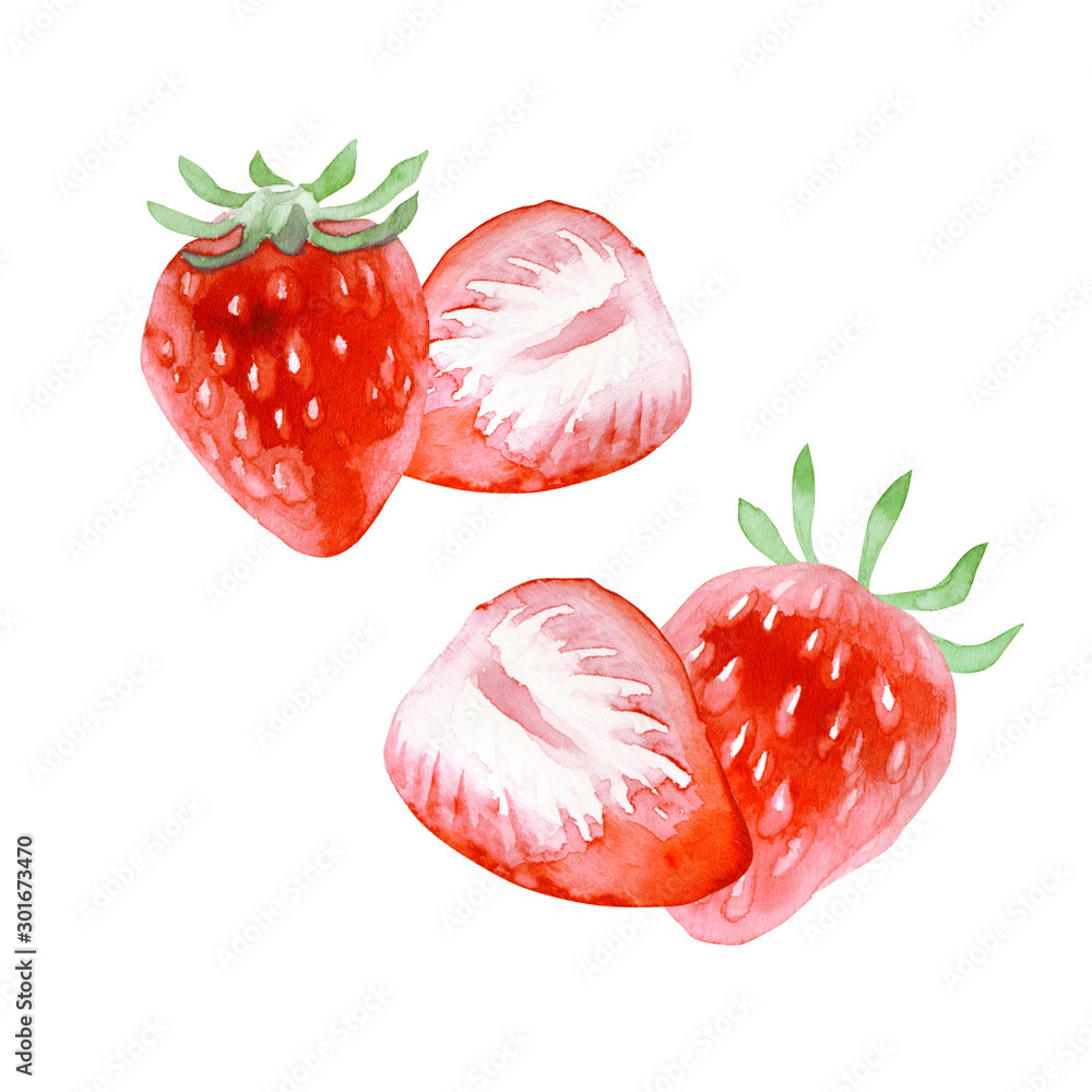 新鮮なイチゴ 断面 水彩 イラスト Stock Illustration Adobe Stock 新鮮なイチゴ 断面 水彩 イラスト Stock Illustration Adobe Stock