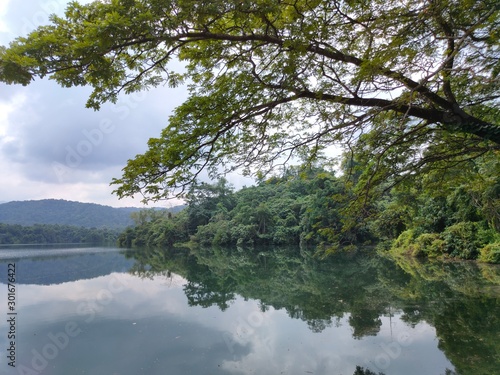 lake in forest