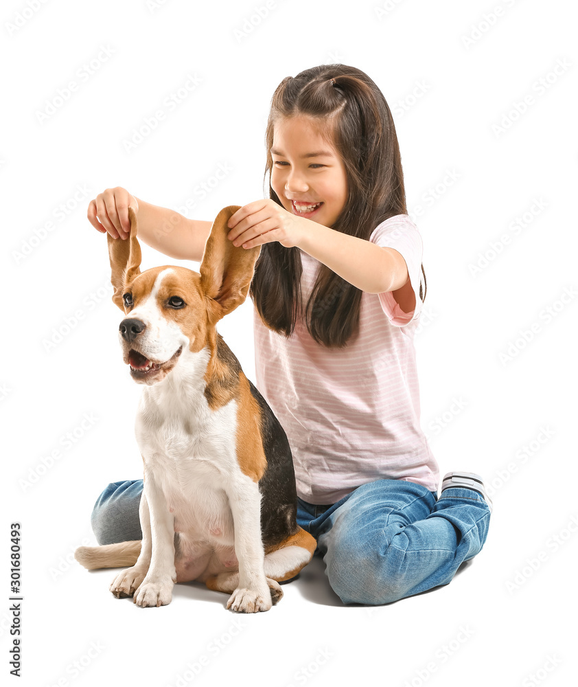 Little Asian girl with cute beagle dog on white background