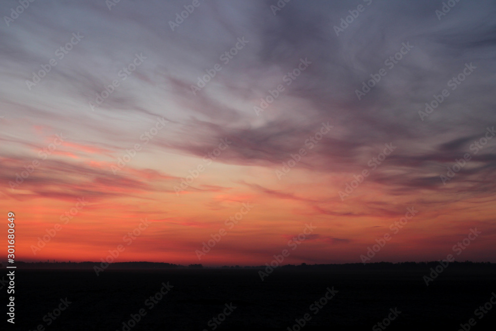 beautiful bright colorful sunset on the background of a dark forest in summer on the horizon picturesque landscape