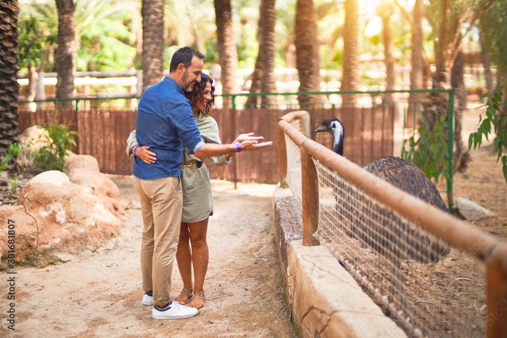 Middle age beautiful couple smiling happy and confident at town park. Standing with smile on face and hugging looking at emu Middle age beautiful couple smiling happy and confident at town park. Standing with smile on face and hugging looking at emu