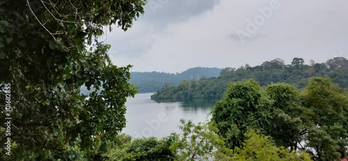 lake in deep forest