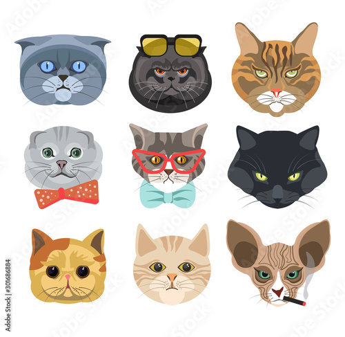 Cats faces wearing glasses and bows or smoking cigarette isolated icons