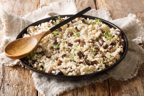 Healthy Orzotto cooked from pearl barley withporcini mushrooms close-up on a plate. horizontal photo