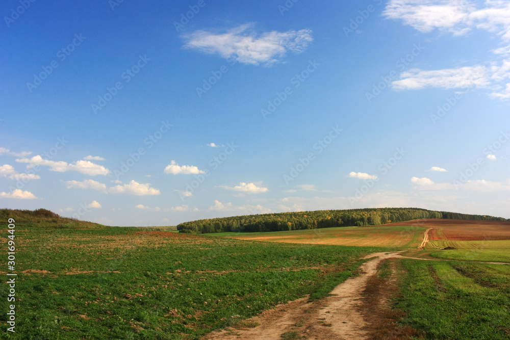Obraz premium Country road in the field