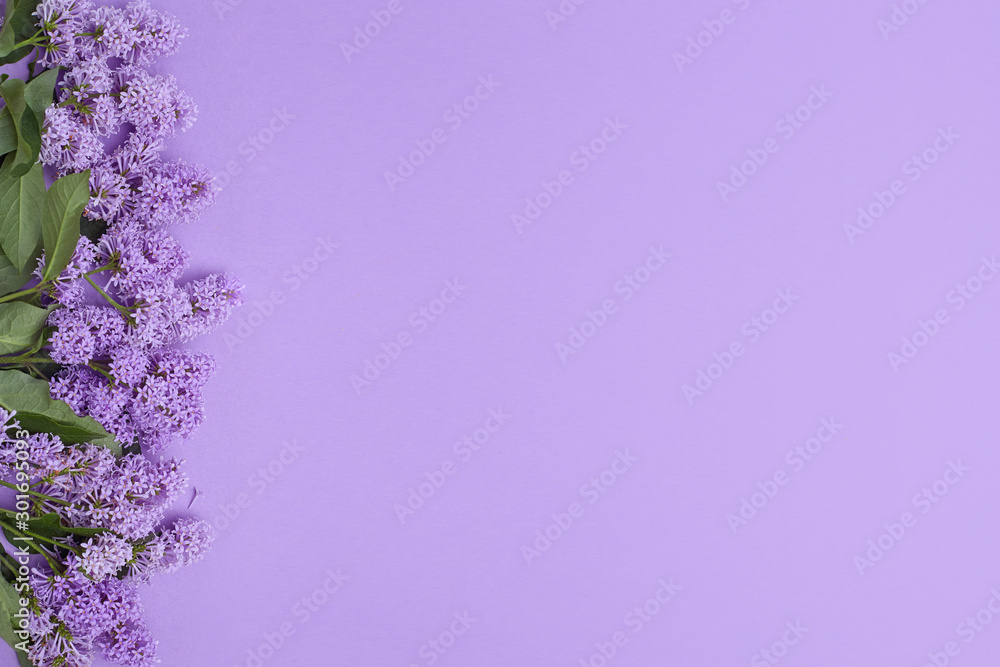 Top view of laying lilac flowers lying on the table, spring has come, copy space purple background. Lilac blossom, spring cosmetics for face and hands Top view of laying lilac flowers lying on the table, spring has come, copy space purple background. Lilac blossom, spring cosmetics for face and hands