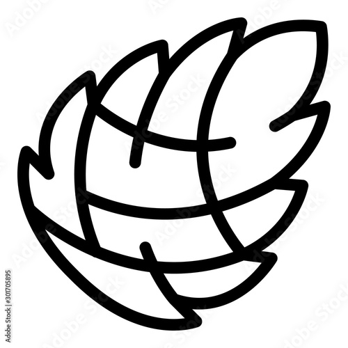 Coniferous pine cone icon. Outline coniferous pine cone vector icon for web design isolated on white background