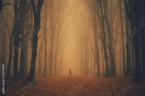 Man lost in a spooky forest. Forest in fog with mist. Fairy spooky looking wo...