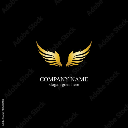 wings gold logo vector illustration template-vector