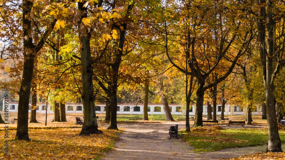 Naklejka premium Zespół pałacowo – parkowy Branickich w Białymstoku, Polska złota jesień, Wersal Podlasia